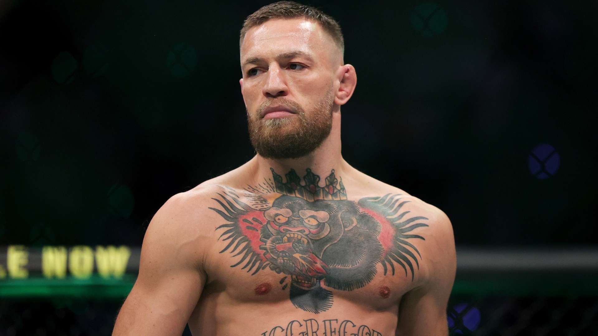 赢得的最佳 赢得的最佳